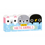 North Parade - Meet the Arctic Animals - Mini Board Book Set