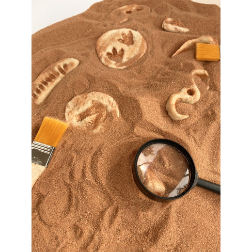 YIPPEE! Sensory Dinosaur Fossil Kit by Rahma