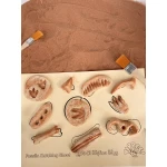 YIPPEE! Sensory Dinosaur Fossil Kit by Rahma