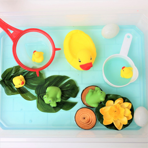 YIPPEE Sensory Ducks & Frog Kit