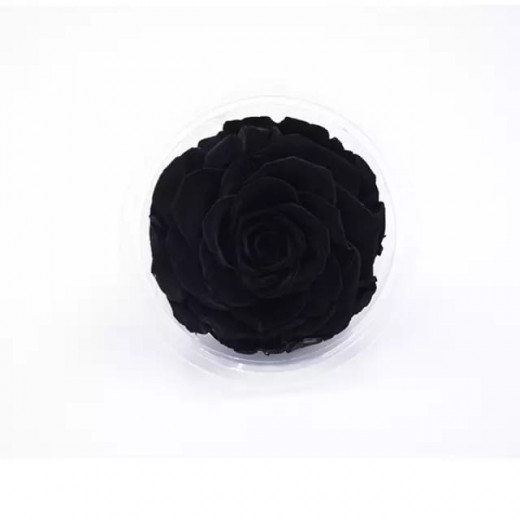 Forever Black Rose