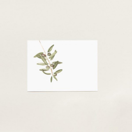 صندوق بطاقات للملاحظات بتصميم نباتات الزيتون