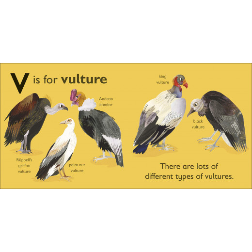 DK Book: V Is For Vulture