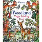 Usborne Woodland Magic Painting Book