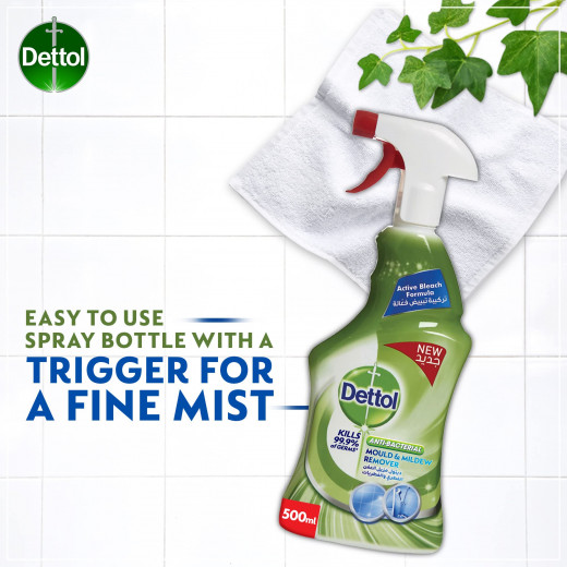 Dettol Mold Remover, 500ml