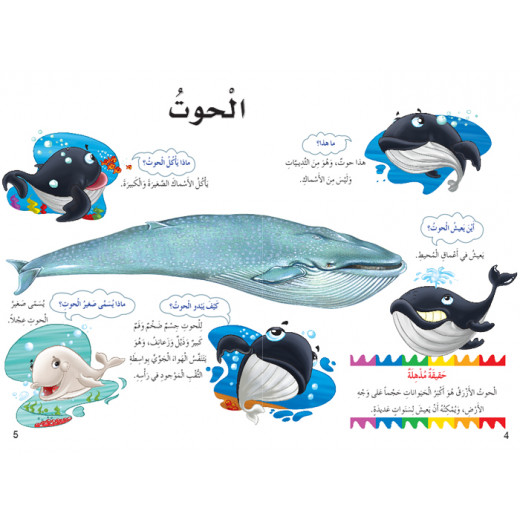 Dar Al Manhal My First Questions And Answers: Marine Animals