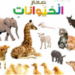 Dar Al Manhal My First Questions And Answers: Small Animals