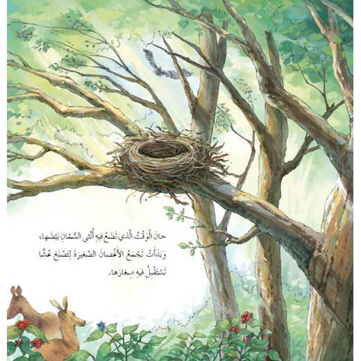 Dar Al Manhal Stories: Fantasy Series:12 Treacherous Bird