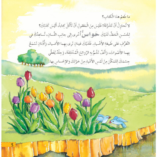 Dar Al Manhal Stories: What Do You Know About: The Five Senses?