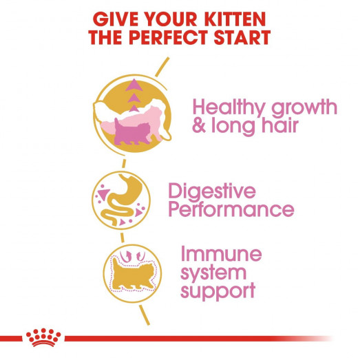 Royal Canin Kitten Persian Cats Food, 400 Gram