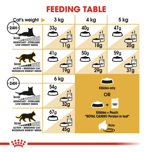 Royal Canin Persian Cat Food, 4 Kg