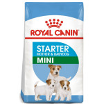 Royal Canin Shn Mini Starter, Dog Food, 1 Kg