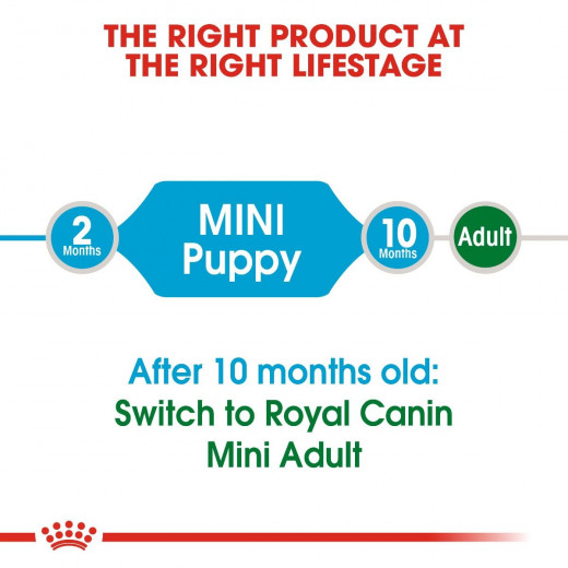 Royal Canin Mini Puppy Food, 800 Gram