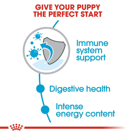 Royal Canin Mini Puppy Food, 800 Gram