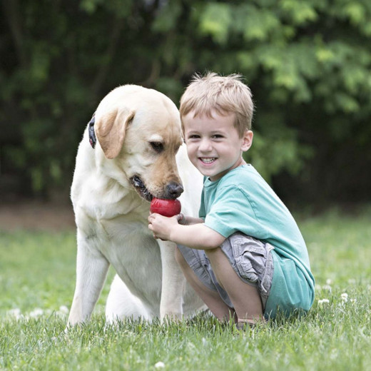 Kong Classic Dog Toy, Red Color, X Small