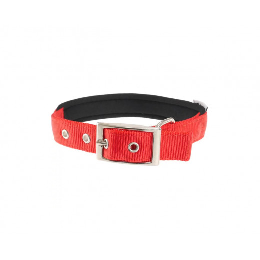 Daytona Nylon Collar For Dogs, Red Color, C25/53