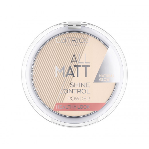 Catrise All Matt Shine Powder, Number 100