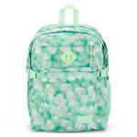 Jansport Main Campus Backpack, Light Green Color