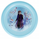 Plastic Plate, Frozen Design