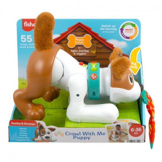 Fisher Price 123 Crawl with Me Puppy