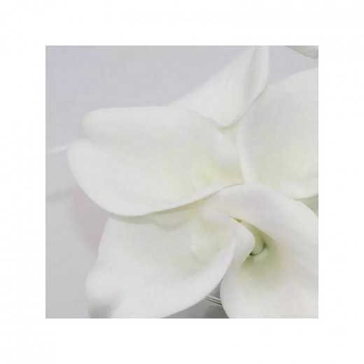 Nova Home  "Calla Lily" Artificial Flower Arrangement, White Color, 14 cm
