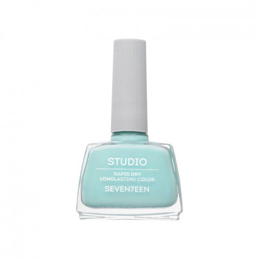 Seventeen Studio Rapid Dry Lasting Color, Number 198