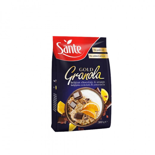 Sante Fit Granola Gold Chocolate And Orange 300g