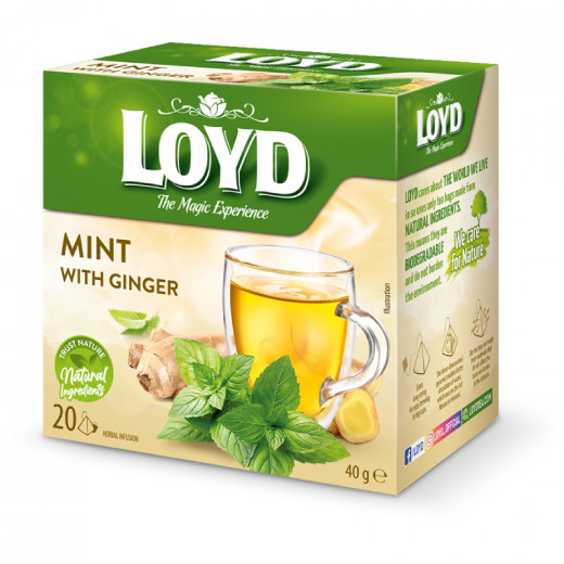 LOYD Tea Mint With Ginger (20 Bags)