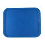 Vague Fast Food Tray Plastic 45 centimeter x 35 centimeter Blue