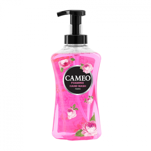 Cameo Foaming Hand Wash Paris 500ml