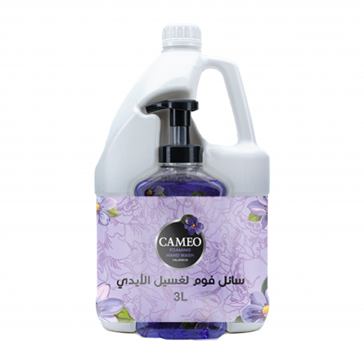 Cameo foam hand washing oil Valencia foam instant 3 liters + Cameo 500 ml