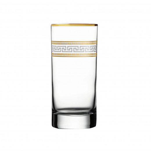 Dimlaj Minerva Set of 6 Pcs Tumblers (Gold & Platinum)