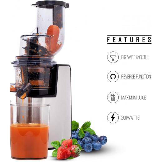 GEEPAS Slow Juicer 200w