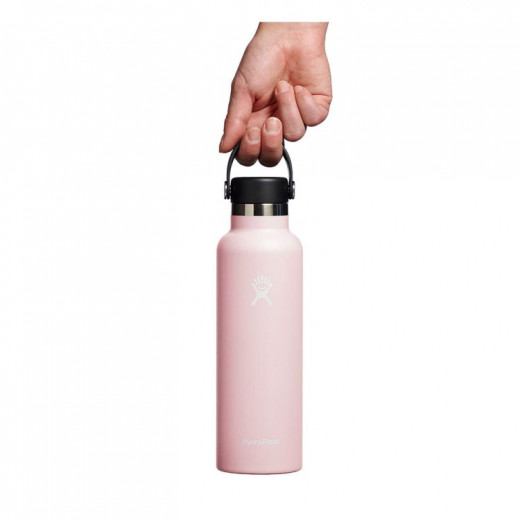 Hydro Flask 21 oz Standard Mouth Bottle in Trillium