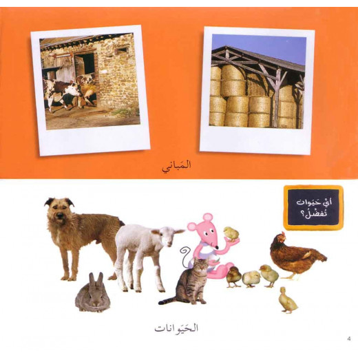 Photo Images of the "The Farm" in Arabic script