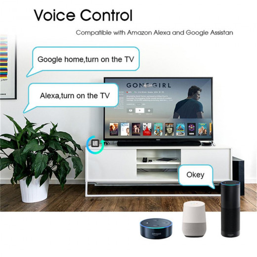 Moes Tuya Temperature & Humidity Sensor with Infrared Remote Controller