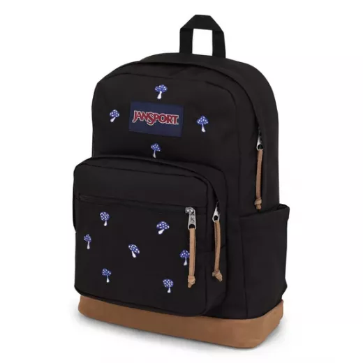 JanSport Right Pack Expressions Backpacks