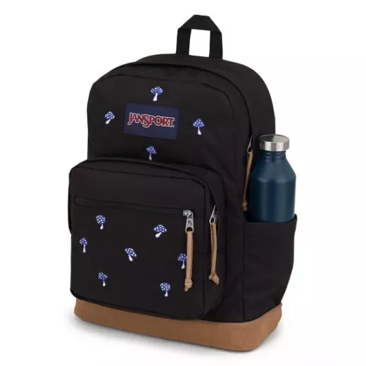 JanSport Right Pack Expressions Backpacks