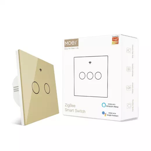 Moes Gold  WiFi Switch