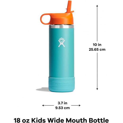 Hydro Flask 18 Oz Kids Wide Mouth Straw Cap Anemone