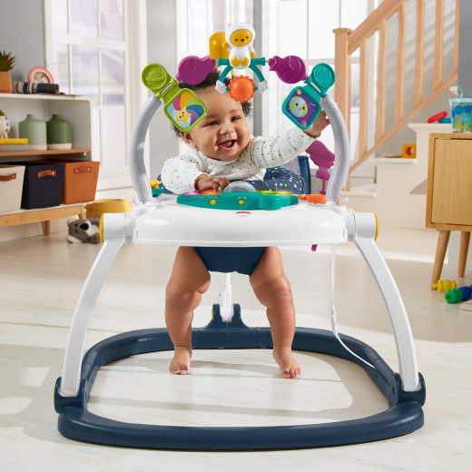 Fisher Price Adjustable Bouncing Seat