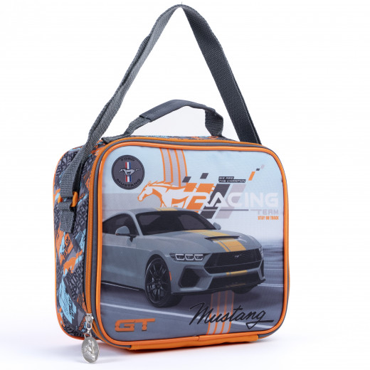 Insulated Lunch Bag