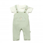 BiOrganic Koala Jungle Slopet Overall Mint (3-6 Months)