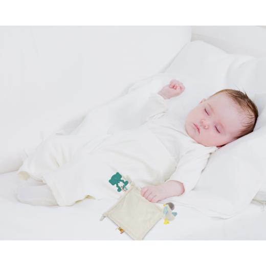 Babyjem 858 Sleeping Bird With Teether Blue