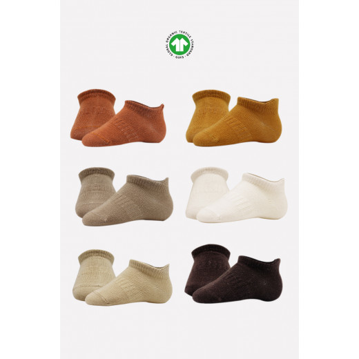 Bistyle 6-Pairs Combed Liner Socks (24-36 m) Colored