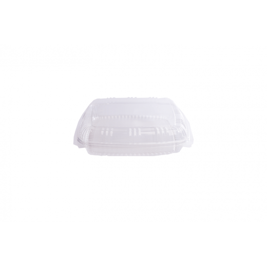 RZ Plastic Containers Rectangle Hinged Clear - 25 PCS